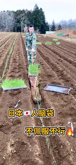 日本人这样种农作物，看起来真的很方便
