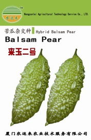 厦门农运来 打造高品质农作物种子与种苗产品名录，赋能科学种植与增产增收