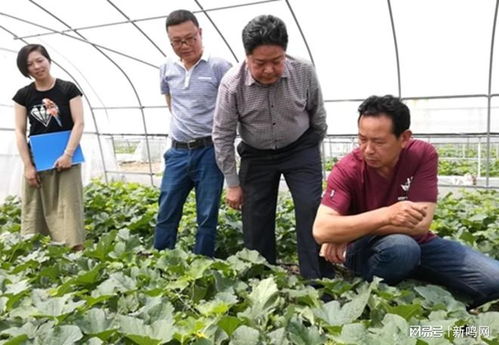 基层干部既做百姓春耕备耕勤务员 更要当好农民科学种植的高参谋